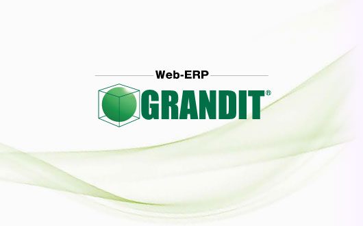 GrandIT web based ERP software development project