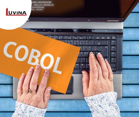 Luvina COBOL development service to migrate business and financial software program
